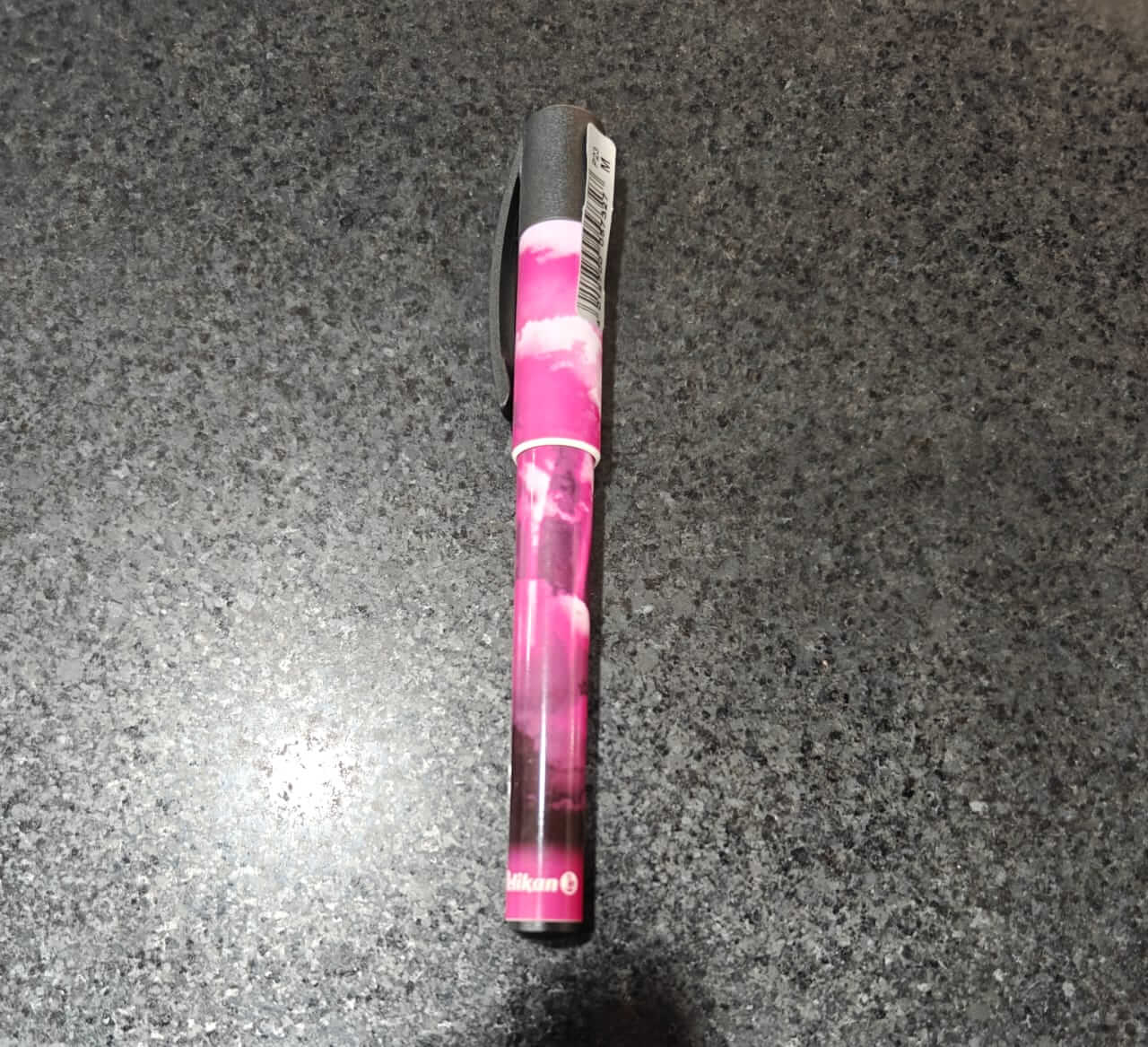 Pelikan Gallery Fountain Pen